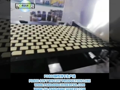 A tot Z Koekjeslijn Volledig automatische Koekjesverwerkingslijn 500 kg/h Koekjes maken apparatuur