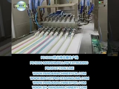 PD1000 MARSHMALLOW EXTRUDERING PRODUCTIELINE MARSHMALLOW MAKING MACHINE EQUIPMENT Machinerie