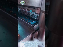 PD1000 Volledig automatische dubbele kleur koekjes productielijn